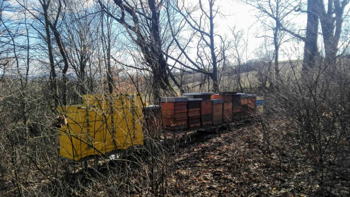 Evropské včelařské dotace – Technická pomoc